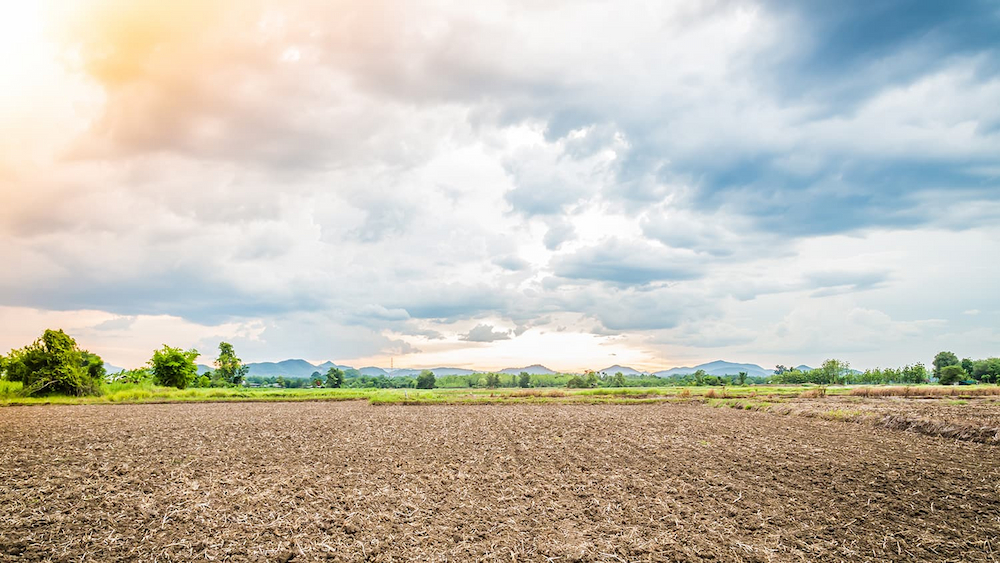 Zasiedzenie nieruchomości - na czym polega, ile trwa i ile kosztuje?